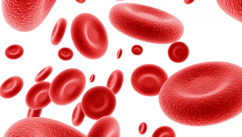 Article Les Globules Rouges Erythrocyte Ou H matie Tunisie M dicale Article Les Globules Rouges Erythrocyte Ou H matie Tunisie M dicale